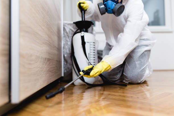 Best Pest Removal Services  in Pleasant Run, OH