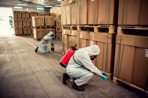 Best Rat Extermination Near Me  in Pleasant Run, OH