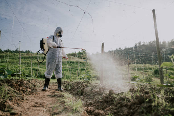 Best Pest Prevention Services  in Pleasant Run, OH