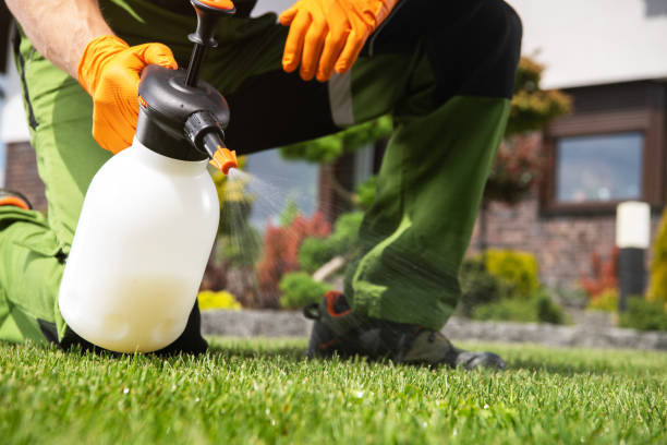 Best Insect Control  in Pleasant Run, OH