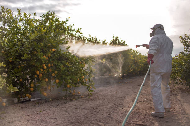 Best Mosquito Control Services  in Pleasant Run, OH