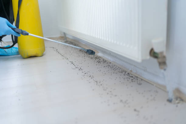 Best Emergency Pest Control  in Pleasant Run, OH