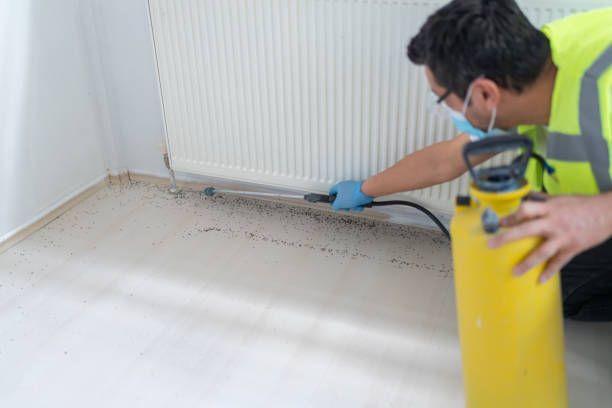 Best Best Pest Control Companies  in Pleasant Run, OH